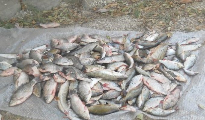 Braconieri prinşi de Garda de Coastă